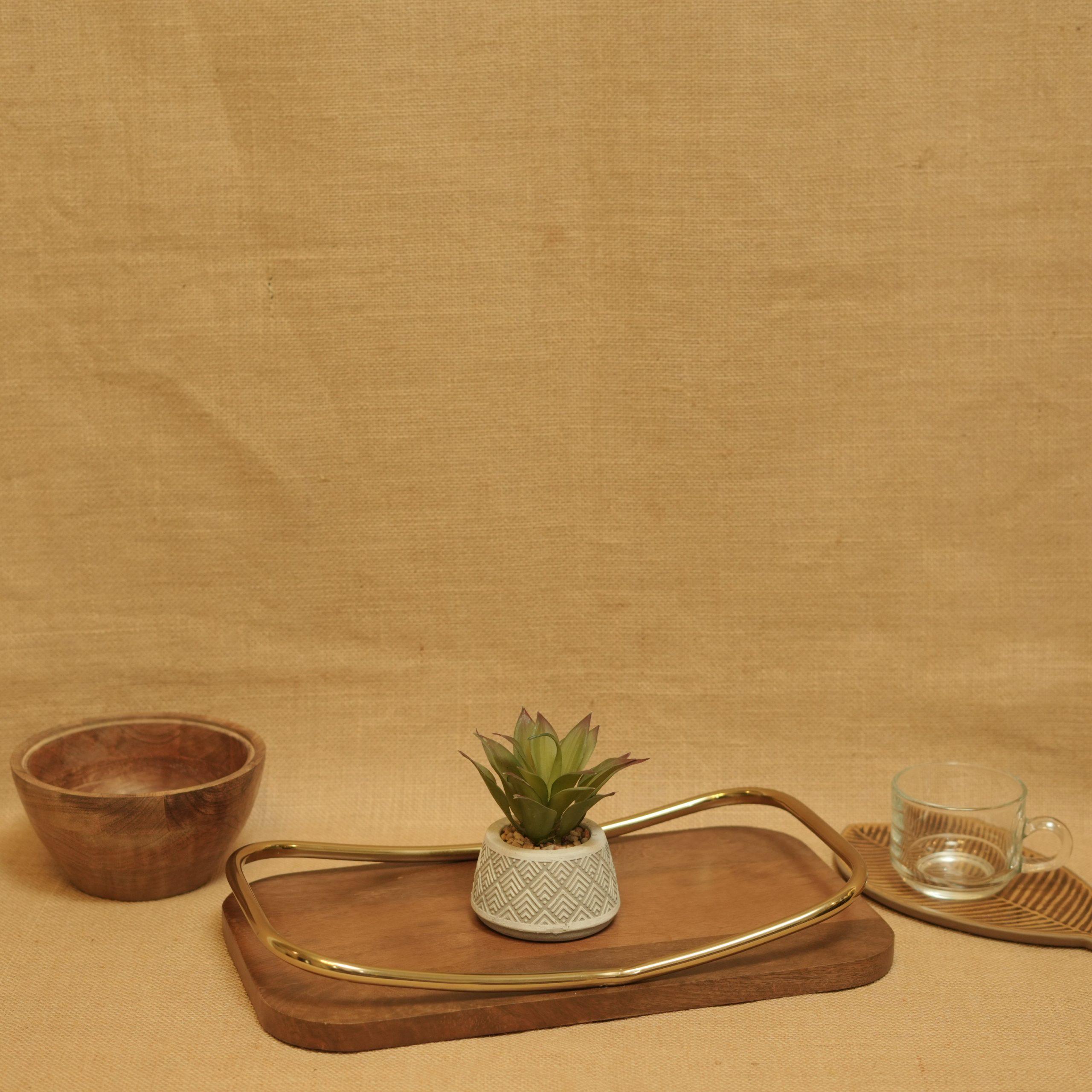 Aurora Curve Wooden Tray